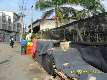 石岡區公所建地