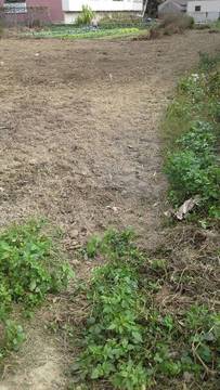 住商雅潭-大林馬場農地