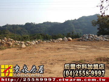 牛稠坑超美農地G