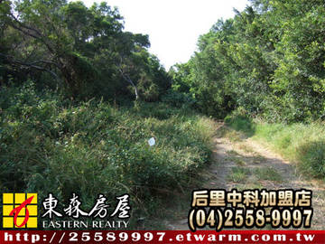 鐵砧山丙建（外埔區） ＊外埔土地外埔建地外埔農地＊東森后里