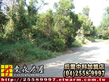 鐵砧山丙建（外埔區） ＊外埔土地外埔建地外埔農地＊東森后里