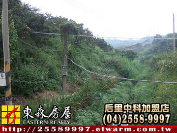 牛稠坑農地（后里區）＊后里土地后里建地后里農地＊東森后里