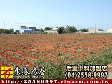 水美工業區旁方正田（外埔區） ＊外埔土地外埔建地外埔農地＊東森后里