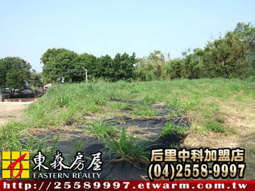 苑裡丙建B（苗栗縣苑裡鎮）＊苑裡土地苑裡建地苑裡農地＊東森后里