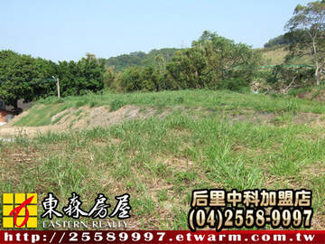 苑裡丙建A（苗栗縣苑裡鎮）＊苑裡土地苑裡建地苑裡農地＊東森后里