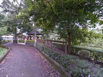 綠色走廊旁美墅