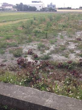 住商雅潭-神岡交流道田