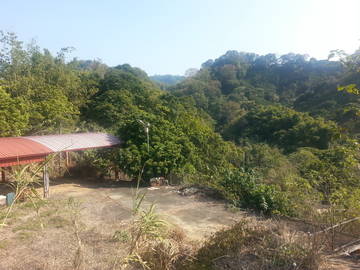 豐原渡假休閒景觀地