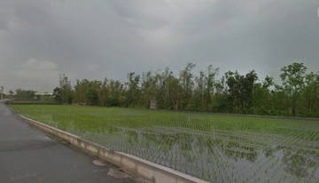 住商雅潭-后里花博美田