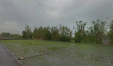 住商雅潭-后里花博美田