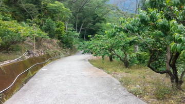 谷關溫泉觀光區休閒地