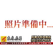 8米路學區別墅(大甲區)＊大甲房屋大甲別墅＊東森后里