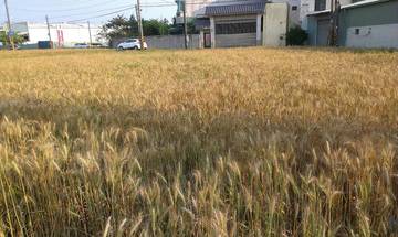 住商雅潭-自立農地