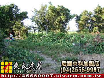 新興段建地（(大甲區）＊大甲土地大甲建地大甲農地＊東森后里＊