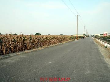 L9127 下營區 下營國小超值農地 雙面臨路