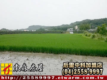 苑裡南山福田(苗栗縣苑裡鎮)＊苗栗土地苗栗農地＊東森后里