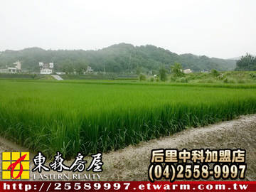 苑裡南山福田(苗栗縣苑裡鎮)＊苗栗土地苗栗農地＊東森后里