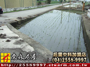 大甲武陵田(一)(大甲區)＊大甲土地大甲農地＊東森后里