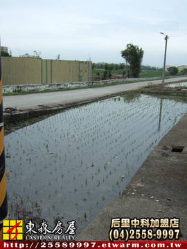 大甲武陵田(一)(大甲區)＊大甲土地大甲農地＊東森后里