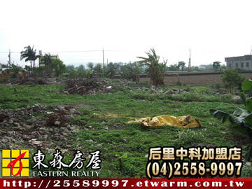 苑裡玉豐田(1)(苗栗縣苑裡鎮)＊苗栗土地苗栗農地＊東森后里