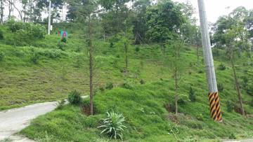 交流道旁渡假休閒美地