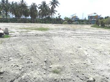 編號89-頂柳農地