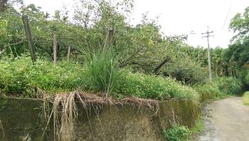 住商雅潭-東勢休閒農屋