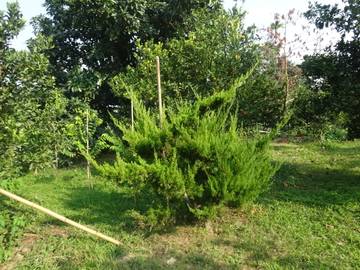 竹崎景觀農地-嘉義101房屋王月琴0913301768