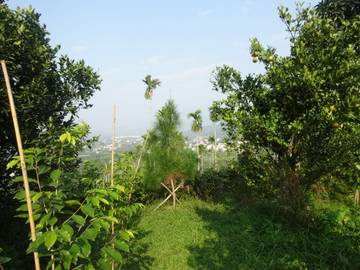 竹崎景觀農地-嘉義101房屋王月琴0913301768