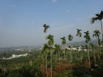 竹崎景觀農地-嘉義101房屋王月琴0913301768