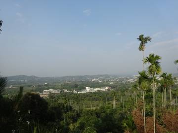 竹崎景觀農地-嘉義101房屋王月琴0913301768