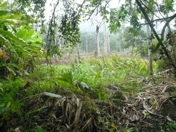 灣潭國小建地-嘉義101房屋王月琴0913301768