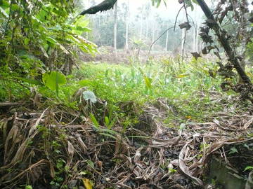 灣潭國小建地-嘉義101房屋王月琴0913301768