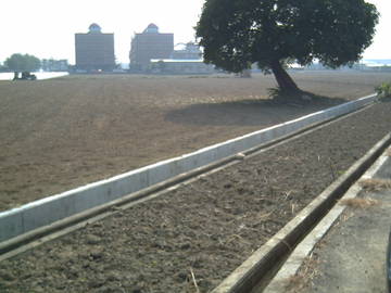 民雄農地-嘉義101房屋王月琴0913301768