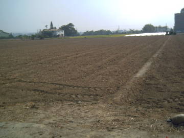 民雄農地-嘉義101房屋王月琴0913301768