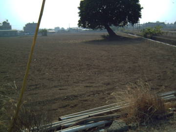 民雄農地-嘉義101房屋王月琴0913301768