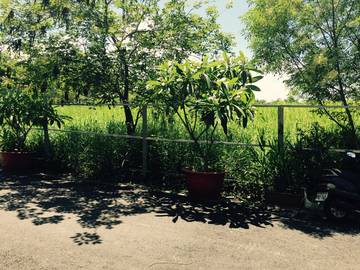 日新街建地-嘉義101房屋王月琴0913301768