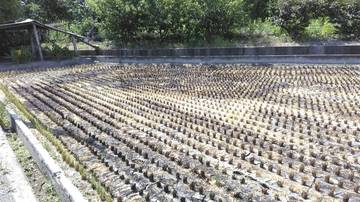 住商雅潭-彰化田中民光103