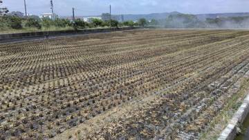 住商雅潭-彰化田中民光103