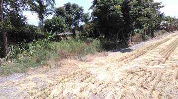 住商雅潭-田尾吉心277