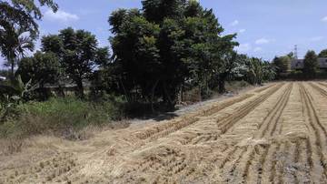 住商雅潭-田尾吉心277