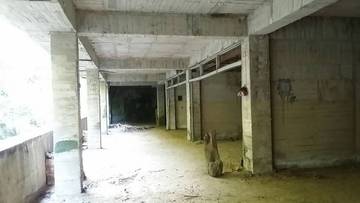 豐原東陽休閒屋