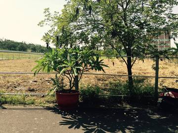 日新街建地-嘉義101房屋王月琴0913301768