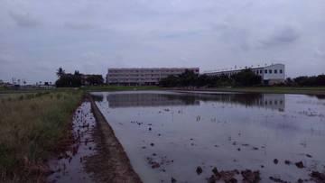 新埤農地嘉義不動產買賣-嘉義101房屋侯美如0915266318