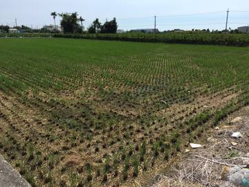 住商雅潭-甲全段角田