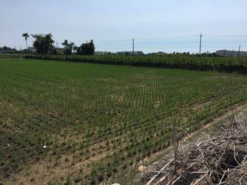 住商雅潭-甲全段角田