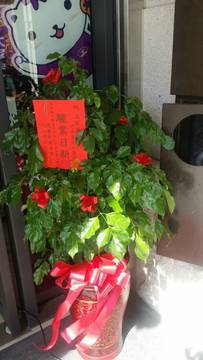 1138110_927e6c4982d5842e2e0c217b89ba543a