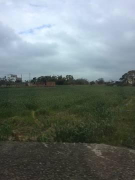 住商雅潭-大雅農舍廠房