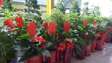 1147912_e833e8e09724cdec6370971e962e4e88