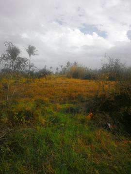 LS34821 貓鼻頭國家公園農地